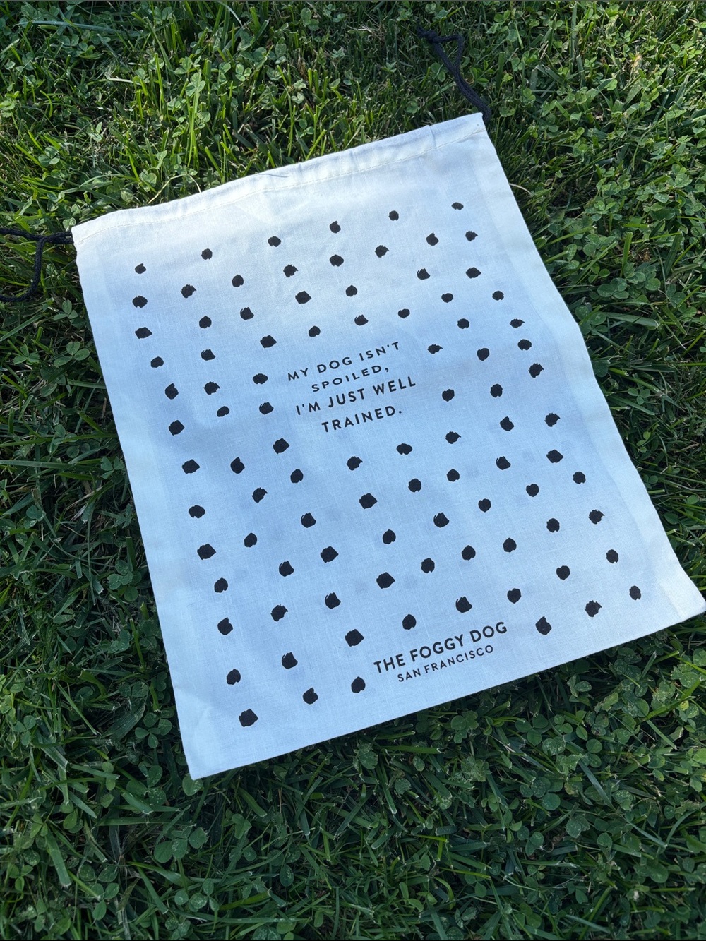 NWOT The Foggy Dog Drawstring Bag